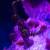 x_is33644_m.jpg