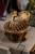 x_is33516_c.jpg