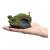 x_weta871004350_b.jpg