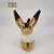 Semic - CASTLE IN THE SKY - Squirrel Fox - Komorebi Plush 24cm