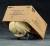 Nendoroid - Metal Gear Solid Raiden MGS2 (re-run) 10 cm