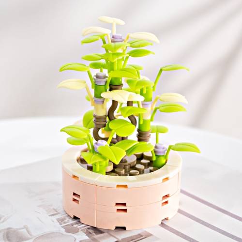 Madness - FOREVER FLOWERS - Bricks Succulent - Display 12pcs