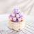 Madness - FOREVER FLOWERS - Bricks Succulent - Display 12pcs
