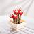 Madness - FOREVER FLOWERS - Bricks Succulent - Display 12pcs