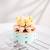 Madness - FOREVER FLOWERS - Bricks Succulent - Display 12pcs