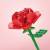 Madness - FOREVER FLOWERS - Bricks Flowers - Display 12pcs
