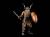 x_fhtd-babuki2dx_g.jpg