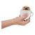 x_scyl39660_i.jpg