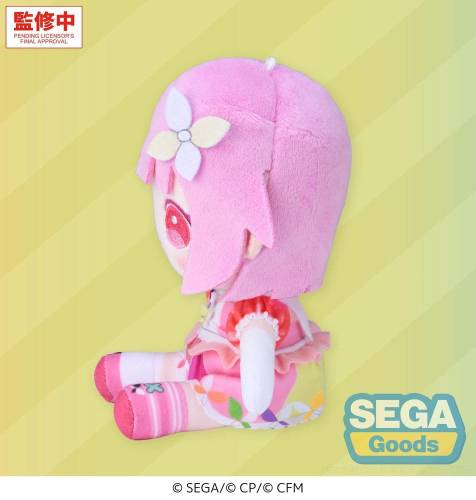 x_sega46915_a.jpg