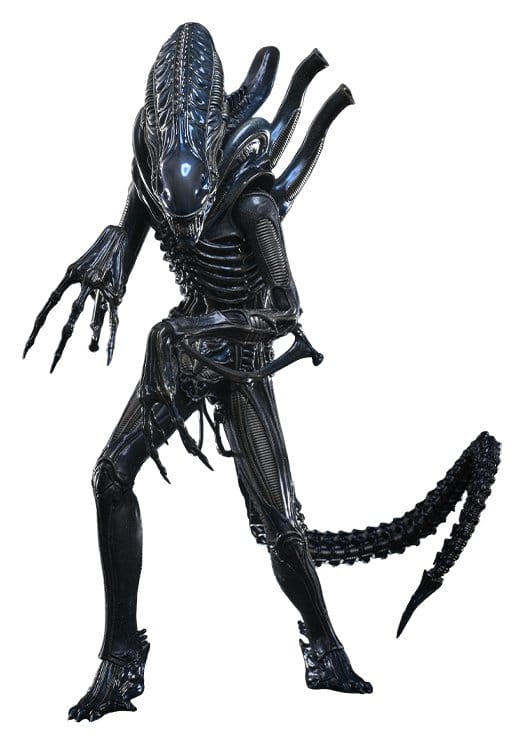 x_hot9157852.jpg