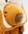 Joy Toy Capybara Plush Figure Toast 23 cm