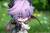 x_mth81592_n.jpg