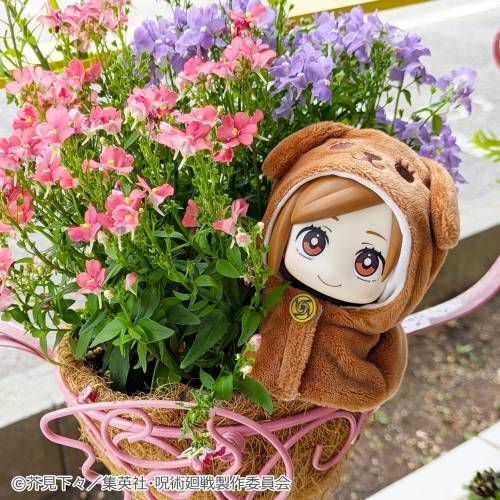 x_meho849725_a.jpg
