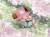 x_btn73609_c.jpg