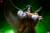 x_ss700251_b.jpg