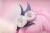 x_mth83449_e.jpg