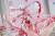 x_mth83214_m.jpg