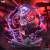 x_apex42311_a.jpg