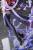 x_apex42311_h.jpg
