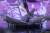 x_apex42311_m.jpg