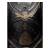 x_weta860104326_c.jpg