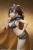 x_coco12022_j.jpg