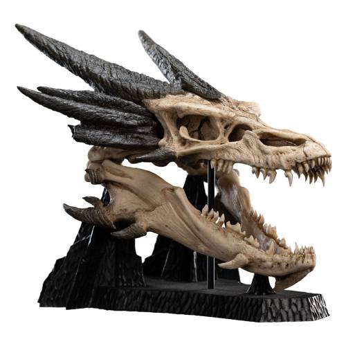 x_weta871304760.jpg