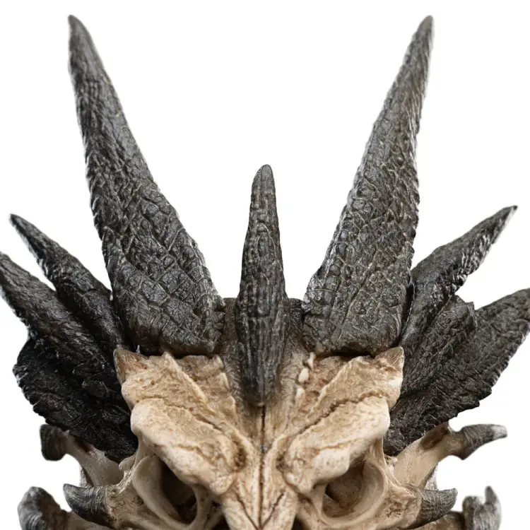 x_weta871304760_d.jpg