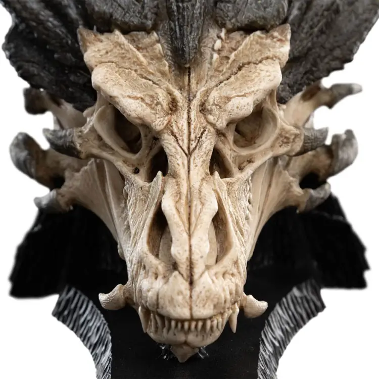 x_weta871304760_e.jpg