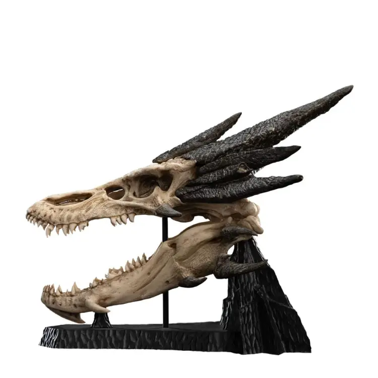 x_weta871304760_n.jpg