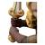 x_weta865003026_g.jpg