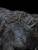 x_weta860104349_h.jpg