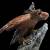 x_weta860102583_e.jpg