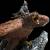 x_weta860102583_f.jpg