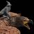 x_weta860102583_i.jpg