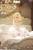 x_sh59008_b.jpg