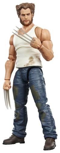 x_hasg2381.jpg