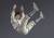 x_btn72290_g.jpg