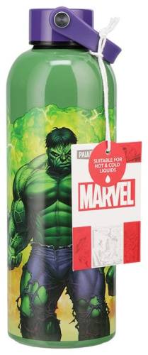 Paladone Products Marvel Universe - Hulk - Metal Water Bottle with Carry Loop