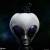 x_ss700252_b.jpg