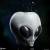 x_ss700252_c.jpg