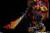 x_ss300966_f.jpg
