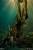 x_ss300898_f.jpg