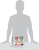 Pokémon TCG First Partner Illustration Collection Series 2