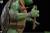 Premium Collectibles Studio Teenage Mutant Ninja Turtles - Michelangelo - Deluxe Edition 1/2
