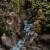 Weta Workshop Władca Pierścieni - Rivendell - Diorama Limitowana Edycja #1000