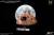 Star Ace Toys Apollo 17 - Command Module - Replica 1/20 Scale