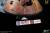 Star Ace Toys Apollo 17 - Command Module - Replica 1/20 Scale