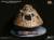Star Ace Toys Apollo 11 - Command Module - Apollo 11 Command Module (DX)