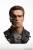 Pure Arts Terminator 2 - T-800 Model 101 - Battle Damaged 1/1 Scale Art Mask Replica